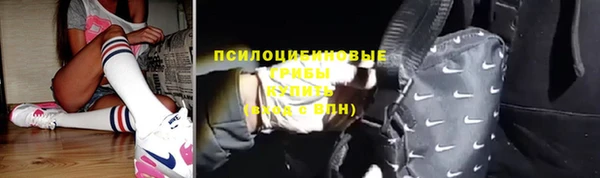 гашик Алексеевка