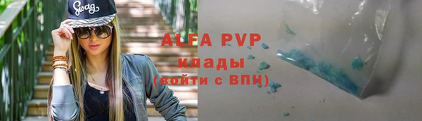 гашик Алексеевка