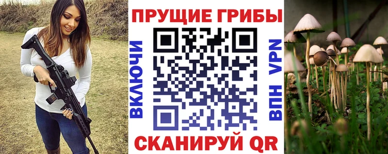 где продают   Касимов  Псилоцибиновые грибы мухоморы 
