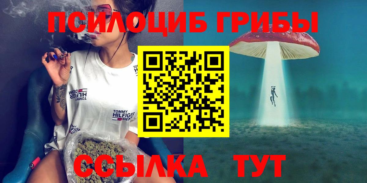 Галлюциногенные грибы мицелий  Вход с VPN  Галлюциногенные грибы Psilocybine cubensis  где продают наркотики  Касимов 
